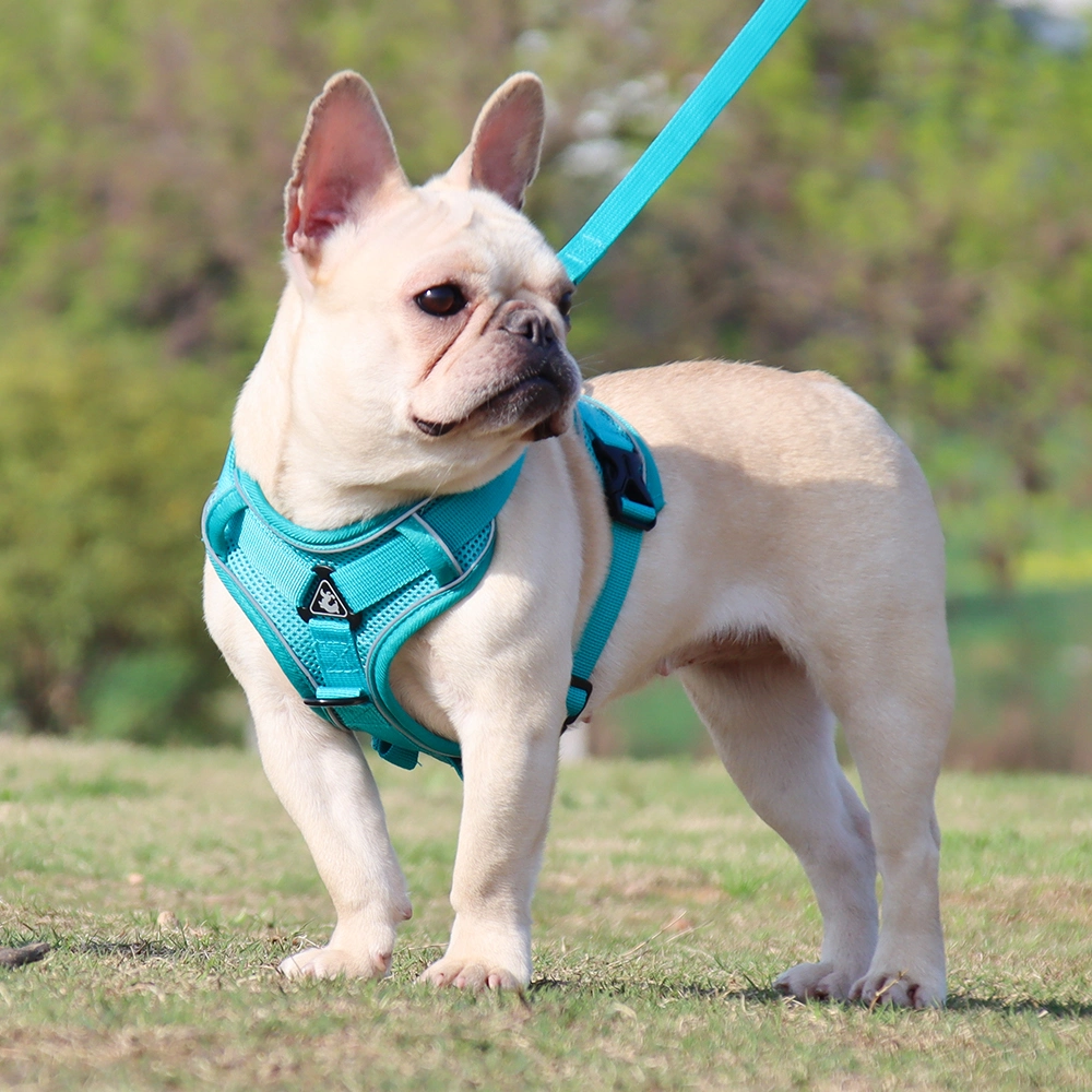 Dog Vest Strap Adjustable Reflective Breathable Pet Accessories Dog Harness