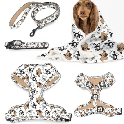 Arnés colorido personalizado para perros cachorros, juego de 6 piezas, accesorios para mascotas