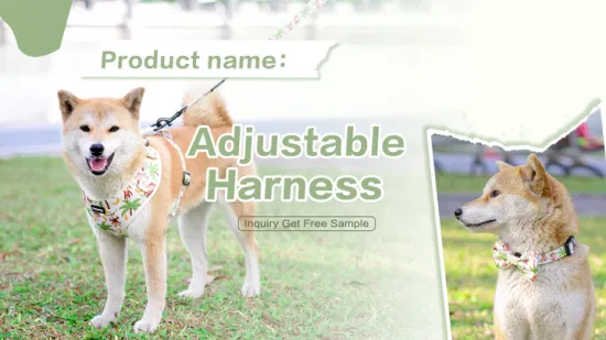 Hanyang Muestra gratuita Diseños personalizados Arneses para mascotas Arnés para perros Arnés y correa para perros Arnés para perros personalizados al por mayor de diseñador de lujo
